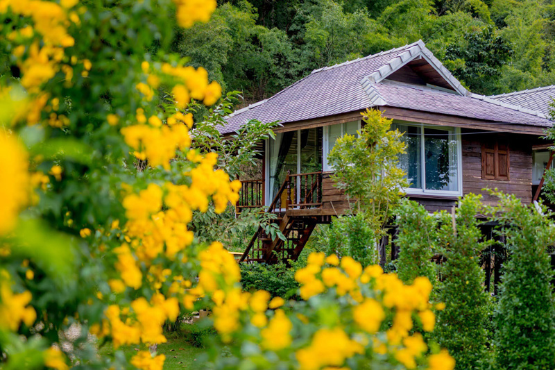 top 9+ ที่พักดอยช้าง 2567 จ.เชียงราย ที่พักท่ามกลางขุนเขาและสายหมอก