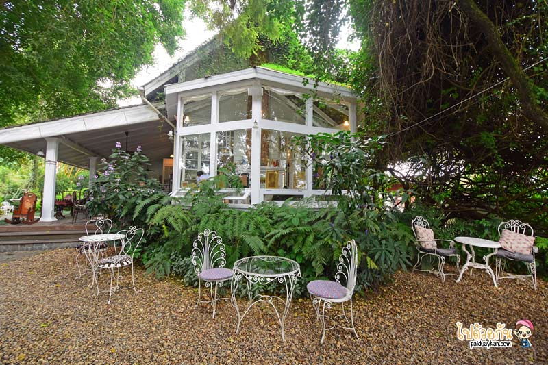 เที่ยวเชียงราย, เชียงราย, ร้านกาแฟเชียงราย, คาเฟ่เชียงราย, top 20+ คาเฟ่ เชียงราย ในเมือง ธรรมชาติ ถ่ายรูปสวย