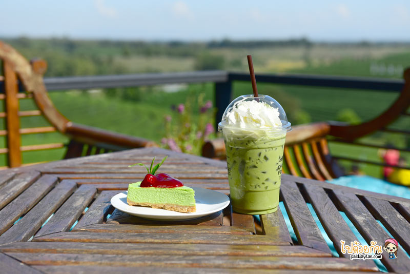 เที่ยวเชียงราย, เชียงราย, ร้านกาแฟเชียงราย, คาเฟ่เชียงราย, top 20+ คาเฟ่ เชียงราย ในเมือง ธรรมชาติ ถ่ายรูปสวย