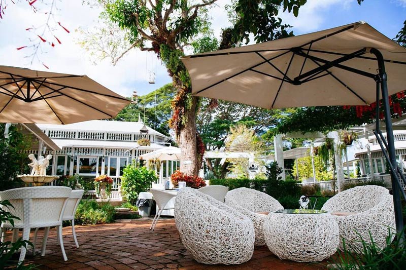 เที่ยวเชียงราย, เชียงราย, ร้านกาแฟเชียงราย, คาเฟ่เชียงราย, top 20+ คาเฟ่ เชียงราย ในเมือง ธรรมชาติ ถ่ายรูปสวย