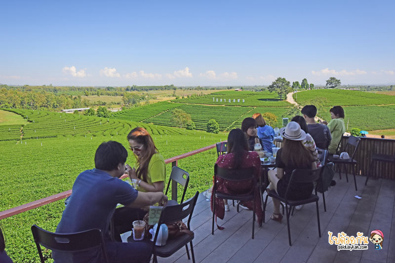 เที่ยวเชียงราย, เชียงราย, ร้านกาแฟเชียงราย, คาเฟ่เชียงราย, top 20+ คาเฟ่ เชียงราย ในเมือง ธรรมชาติ ถ่ายรูปสวย