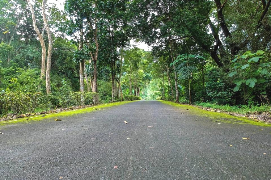 the chill resort, the peem hotel, กรีนวิว รีสอร์ต, คุ้งน้ำ รีสอร์ท, ซุ้มต้นไผ่ นครนายก, ที่พักนครนายก, ที่พักนครนายก 2024, ที่พักนครนายก 2567, ที่พักนครนายก ติดน้ําตก 2567, ที่พักนครนายก ริมน้ำ, ที่พักนครนายก ริมน้ํา 2024, ที่พักนครนายก ริมน้ํา 2567, ที่พักนครนายก ใกล้น้ำตก, ที่พักนครนายก ใกล้เขื่อน, นครนายก, น้ำตกนางรอง, น้ำตกวังตะไคร้, น้ำตกสาริกา, น้ำตกสาริกา รีโซเทล, บ้านสวนคุณยาย, บ้านสวนคุณยาย นครนายก, บ้านไม้ปลายเขื่อน รีสอร์ท, ภูมนตรา นครนายก, ภูไอยรา รีสอร์ท, มะขาม ฟอเรสต์ รีสอร์ท, มีนา วิลล่า, ระเบียงไพร แวลลีย์, รีสอร์ท นครนายก, วิลล่ส พนาลัย, วิลล่า พนาลัย, ศิริ รีโซเทล นครนายก, สะพานทุ่งนามุ้ย, เขื่อนขุนด่านปราการชล, เดอะ ฟอเรสต์ โฮม รีสอร์ท, เดอะ แรบบิท โฮม, เดอะชิลล์ รีสอร์ท, เดอะพีม, เดอะภึม, เดอะมิสต์ แอด รอยัล ฮิลล์ นครนายก, เรนเดียร์ พาร์ค รีสอร์ท, แก่งสามชั้น, โตแมงโอ้ วินเทจ รีสอร์ต, โฮมแอนด์ฮิลล์ รีสอร์ท, top 15+ ที่พักนครนายก [กรกฎาคม 2024] พักผ่อนกับธรรมชาติ ใกล้กรุงเทพฯ