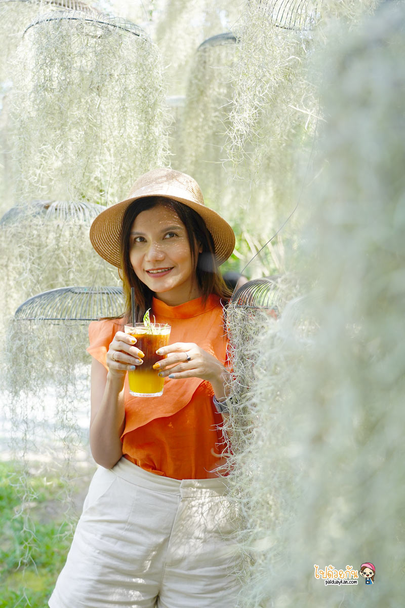 natura garden cafe, ภูมิใจการ์เด้น, คาเฟ่พระราม2, natura garden cafe คาเฟ่ฟีลสวน โดดเด่นด้วยต้นเคราฤาษี