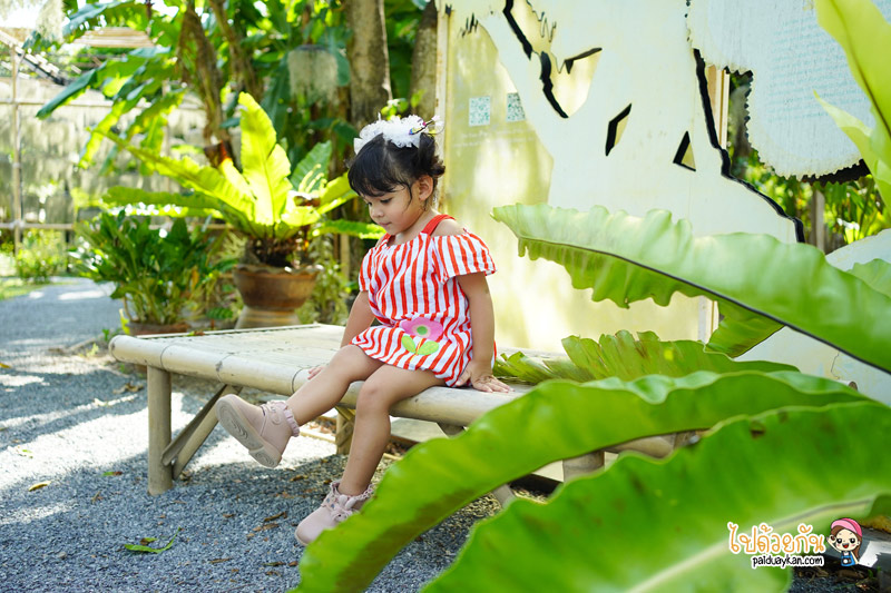 natura garden cafe, ภูมิใจการ์เด้น, คาเฟ่พระราม2, natura garden cafe คาเฟ่ฟีลสวน โดดเด่นด้วยต้นเคราฤาษี