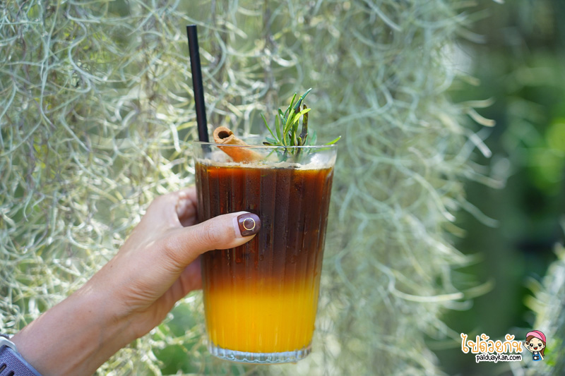 natura garden cafe, ภูมิใจการ์เด้น, คาเฟ่พระราม2, natura garden cafe คาเฟ่ฟีลสวน โดดเด่นด้วยต้นเคราฤาษี