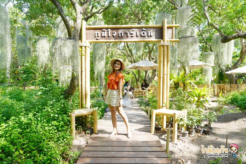 natura garden cafe, ภูมิใจการ์เด้น, คาเฟ่พระราม2, natura garden cafe คาเฟ่ฟีลสวน โดดเด่นด้วยต้นเคราฤาษี