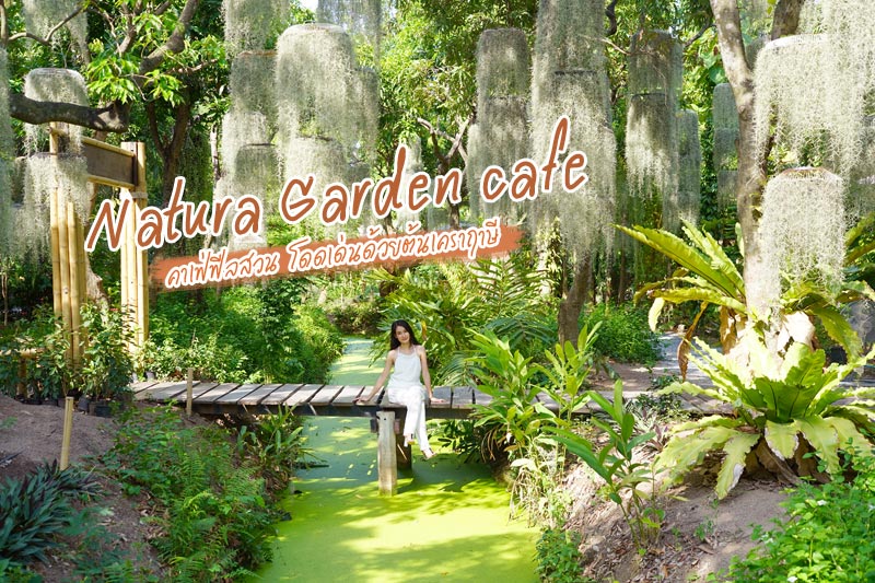 natura garden cafe, ภูมิใจการ์เด้น, คาเฟ่พระราม2, natura garden cafe คาเฟ่ฟีลสวน โดดเด่นด้วยต้นเคราฤาษี