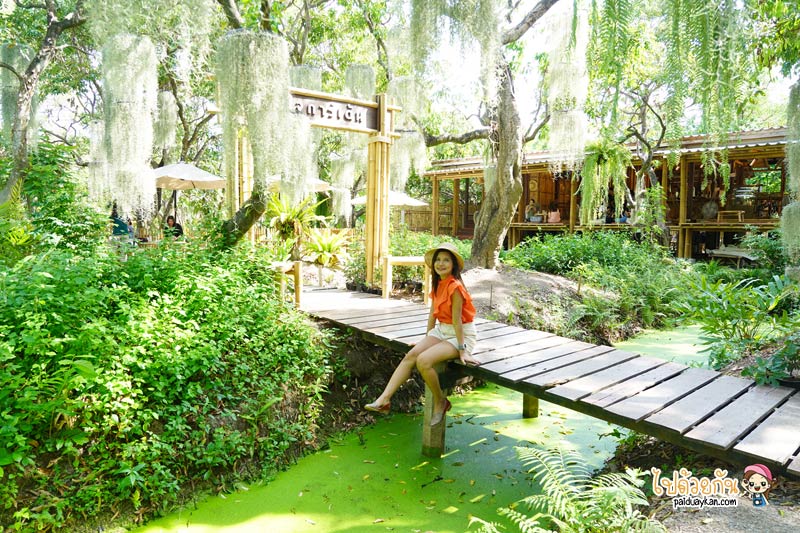 natura garden cafe, ภูมิใจการ์เด้น, คาเฟ่พระราม2, natura garden cafe คาเฟ่ฟีลสวน โดดเด่นด้วยต้นเคราฤาษี