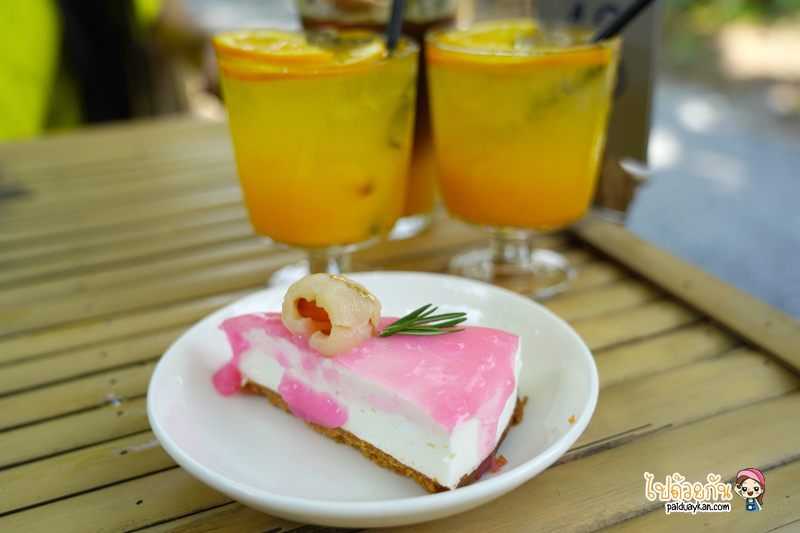 natura garden cafe, ภูมิใจการ์เด้น, คาเฟ่พระราม2, natura garden cafe คาเฟ่ฟีลสวน โดดเด่นด้วยต้นเคราฤาษี