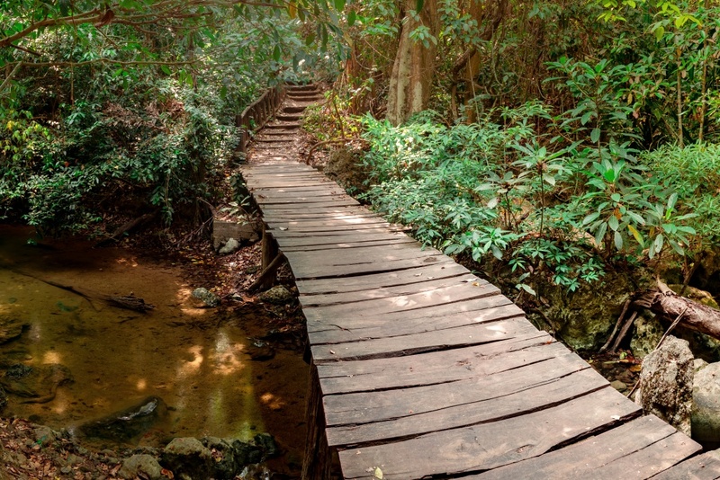 ซาฟารี ปาร์ค, ต้นจามจุรียักษ์, ทางรถไฟสายมรณะ, ที่พัก, ที่เที่ยว, ที่เที่ยวกาญจนบุรี, ที่เที่ยวกาญจนบุรี 2024, ที่เที่ยวกาญจนบุรี 2567, ที่เที่ยวกาญจนบุรี ธรรมชาติ, น้ำตกห้วยแม่ขมิ้น, น้ําตกเอราวัณ, วัดถ้ำเสือ กาญจนบุรี, สวนสัตว์เปิด ซาฟารี ปาร์ค แอนด์ แคมป์, สะพานข้ามแม่น้ำแคว, สะพานมอญ สังขละบุรี, เขาช้างเผือก, เขื่อนศรีนครินทร์, เที่ยวกาญจนบุรี, เที่ยวกาญจนบุรี 2024, เที่ยวกาญจนบุรี 2567, เที่ยวเมืองกาญ, top 30+ ที่เที่ยวกาญจนบุรี [กรกฎาคม 2024] สัมผัสธรรมชาติ ใกล้กรุงเทพฯ