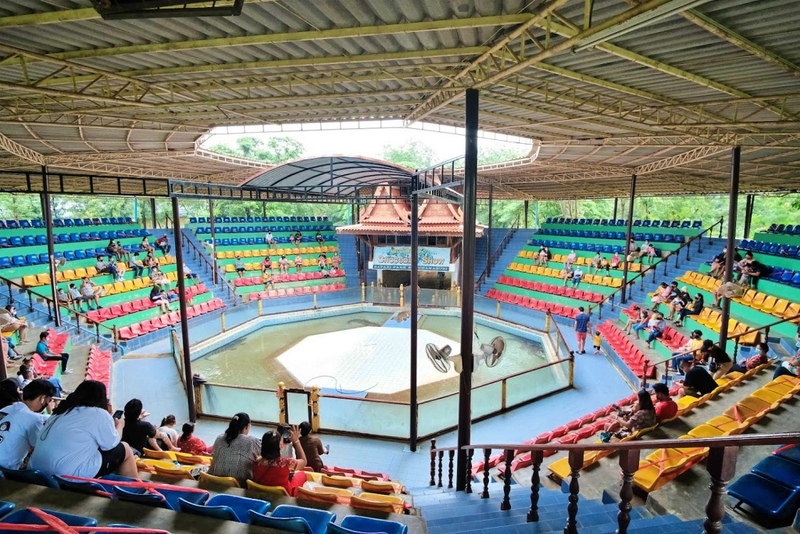 ซาฟารี ปาร์ค, ต้นจามจุรียักษ์, ทางรถไฟสายมรณะ, ที่พัก, ที่เที่ยว, ที่เที่ยวกาญจนบุรี, ที่เที่ยวกาญจนบุรี 2024, ที่เที่ยวกาญจนบุรี 2567, ที่เที่ยวกาญจนบุรี ธรรมชาติ, น้ำตกห้วยแม่ขมิ้น, น้ําตกเอราวัณ, วัดถ้ำเสือ กาญจนบุรี, สวนสัตว์เปิด ซาฟารี ปาร์ค แอนด์ แคมป์, สะพานข้ามแม่น้ำแคว, สะพานมอญ สังขละบุรี, เขาช้างเผือก, เขื่อนศรีนครินทร์, เที่ยวกาญจนบุรี, เที่ยวกาญจนบุรี 2024, เที่ยวกาญจนบุรี 2567, เที่ยวเมืองกาญ, top 30+ ที่เที่ยวกาญจนบุรี [กรกฎาคม 2024] สัมผัสธรรมชาติ ใกล้กรุงเทพฯ