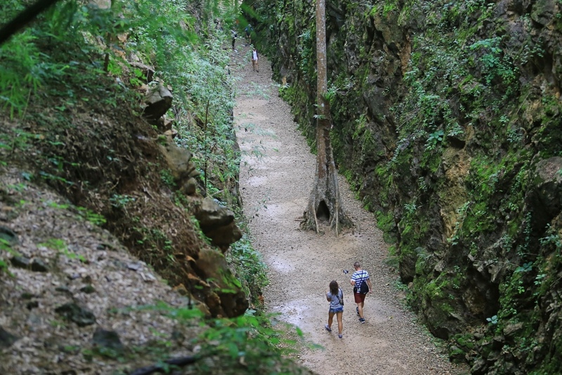 ซาฟารี ปาร์ค, ต้นจามจุรียักษ์, ทางรถไฟสายมรณะ, ที่พัก, ที่เที่ยว, ที่เที่ยวกาญจนบุรี, ที่เที่ยวกาญจนบุรี 2024, ที่เที่ยวกาญจนบุรี 2567, ที่เที่ยวกาญจนบุรี ธรรมชาติ, น้ำตกห้วยแม่ขมิ้น, น้ําตกเอราวัณ, วัดถ้ำเสือ กาญจนบุรี, สวนสัตว์เปิด ซาฟารี ปาร์ค แอนด์ แคมป์, สะพานข้ามแม่น้ำแคว, สะพานมอญ สังขละบุรี, เขาช้างเผือก, เขื่อนศรีนครินทร์, เที่ยวกาญจนบุรี, เที่ยวกาญจนบุรี 2024, เที่ยวกาญจนบุรี 2567, เที่ยวเมืองกาญ, top 30+ ที่เที่ยวกาญจนบุรี [กรกฎาคม 2024] สัมผัสธรรมชาติ ใกล้กรุงเทพฯ