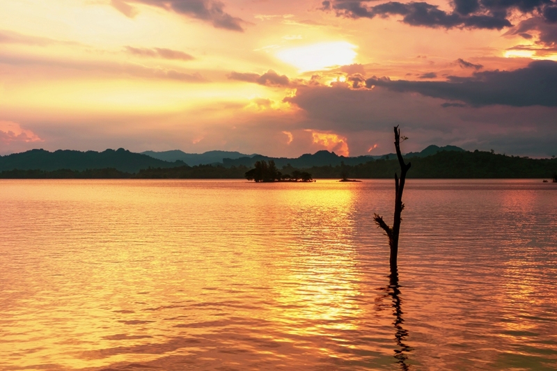 ซาฟารี ปาร์ค, ต้นจามจุรียักษ์, ทางรถไฟสายมรณะ, ที่พัก, ที่เที่ยว, ที่เที่ยวกาญจนบุรี, ที่เที่ยวกาญจนบุรี 2024, ที่เที่ยวกาญจนบุรี 2567, ที่เที่ยวกาญจนบุรี ธรรมชาติ, น้ำตกห้วยแม่ขมิ้น, น้ําตกเอราวัณ, วัดถ้ำเสือ กาญจนบุรี, สวนสัตว์เปิด ซาฟารี ปาร์ค แอนด์ แคมป์, สะพานข้ามแม่น้ำแคว, สะพานมอญ สังขละบุรี, เขาช้างเผือก, เขื่อนศรีนครินทร์, เที่ยวกาญจนบุรี, เที่ยวกาญจนบุรี 2024, เที่ยวกาญจนบุรี 2567, เที่ยวเมืองกาญ, top 30+ ที่เที่ยวกาญจนบุรี [กรกฎาคม 2024] สัมผัสธรรมชาติ ใกล้กรุงเทพฯ