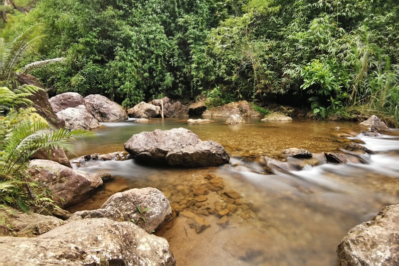 ซาฟารี ปาร์ค, ต้นจามจุรียักษ์, ทางรถไฟสายมรณะ, ที่พัก, ที่เที่ยว, ที่เที่ยวกาญจนบุรี, ที่เที่ยวกาญจนบุรี 2024, ที่เที่ยวกาญจนบุรี 2567, ที่เที่ยวกาญจนบุรี ธรรมชาติ, น้ำตกห้วยแม่ขมิ้น, น้ําตกเอราวัณ, วัดถ้ำเสือ กาญจนบุรี, สวนสัตว์เปิด ซาฟารี ปาร์ค แอนด์ แคมป์, สะพานข้ามแม่น้ำแคว, สะพานมอญ สังขละบุรี, เขาช้างเผือก, เขื่อนศรีนครินทร์, เที่ยวกาญจนบุรี, เที่ยวกาญจนบุรี 2024, เที่ยวกาญจนบุรี 2567, เที่ยวเมืองกาญ, top 30+ ที่เที่ยวกาญจนบุรี [กรกฎาคม 2024] สัมผัสธรรมชาติ ใกล้กรุงเทพฯ