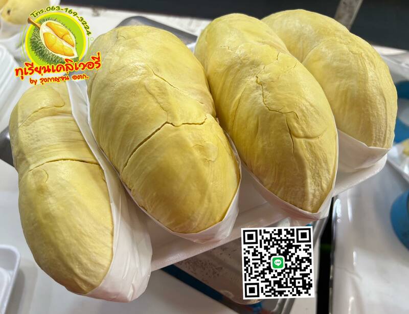 top 13+ ร้านทุเรียน delivery ราชาผลไม้อร่อยหวานมัน รสชาติดีเหมือนไปซื้อเองที่สวน!