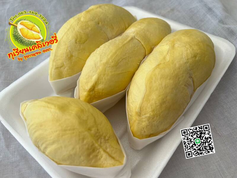 top 13+ ร้านทุเรียน delivery ราชาผลไม้อร่อยหวานมัน รสชาติดีเหมือนไปซื้อเองที่สวน!