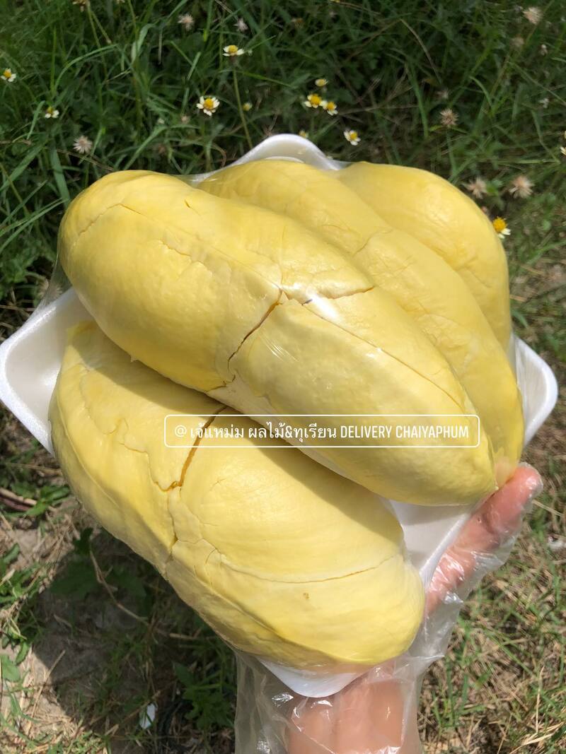 top 13+ ร้านทุเรียน delivery ราชาผลไม้อร่อยหวานมัน รสชาติดีเหมือนไปซื้อเองที่สวน!