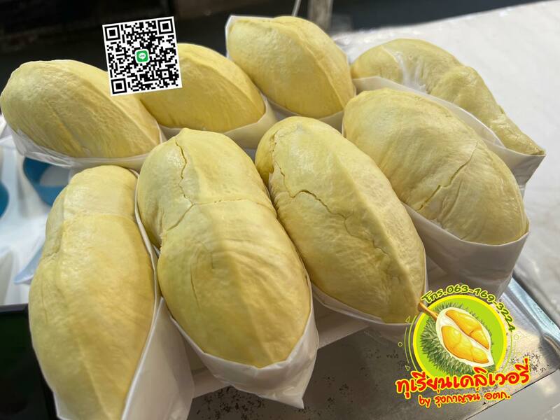 top 13+ ร้านทุเรียน delivery ราชาผลไม้อร่อยหวานมัน รสชาติดีเหมือนไปซื้อเองที่สวน!