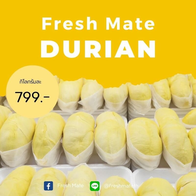 top 13+ ร้านทุเรียน delivery ราชาผลไม้อร่อยหวานมัน รสชาติดีเหมือนไปซื้อเองที่สวน!