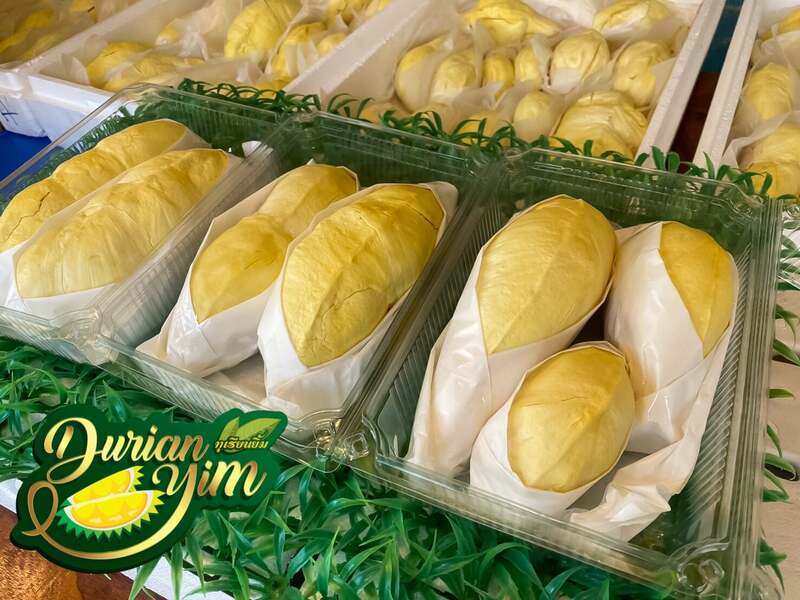 top 13+ ร้านทุเรียน delivery ราชาผลไม้อร่อยหวานมัน รสชาติดีเหมือนไปซื้อเองที่สวน!