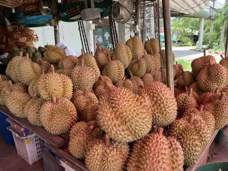 top 13+ ร้านทุเรียน delivery ราชาผลไม้อร่อยหวานมัน รสชาติดีเหมือนไปซื้อเองที่สวน!