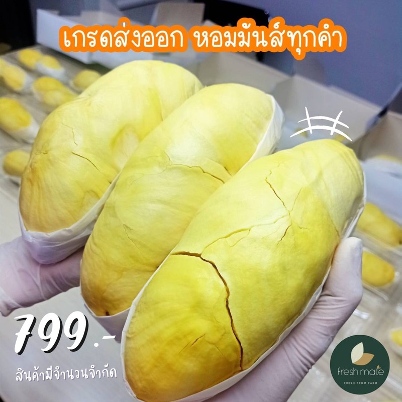 top 13+ ร้านทุเรียน delivery ราชาผลไม้อร่อยหวานมัน รสชาติดีเหมือนไปซื้อเองที่สวน!