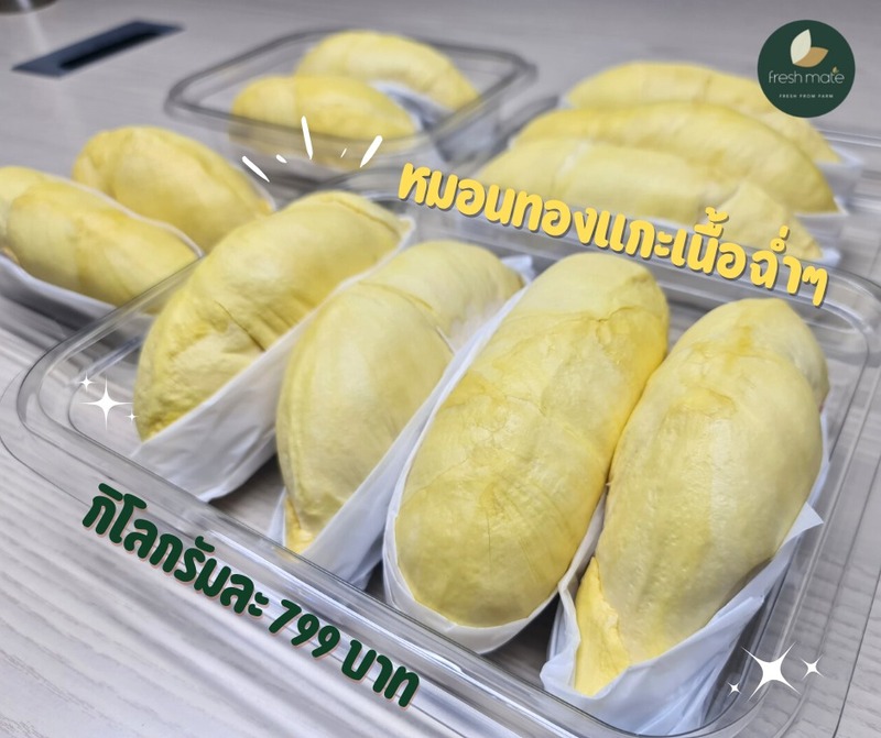 top 13+ ร้านทุเรียน delivery ราชาผลไม้อร่อยหวานมัน รสชาติดีเหมือนไปซื้อเองที่สวน!