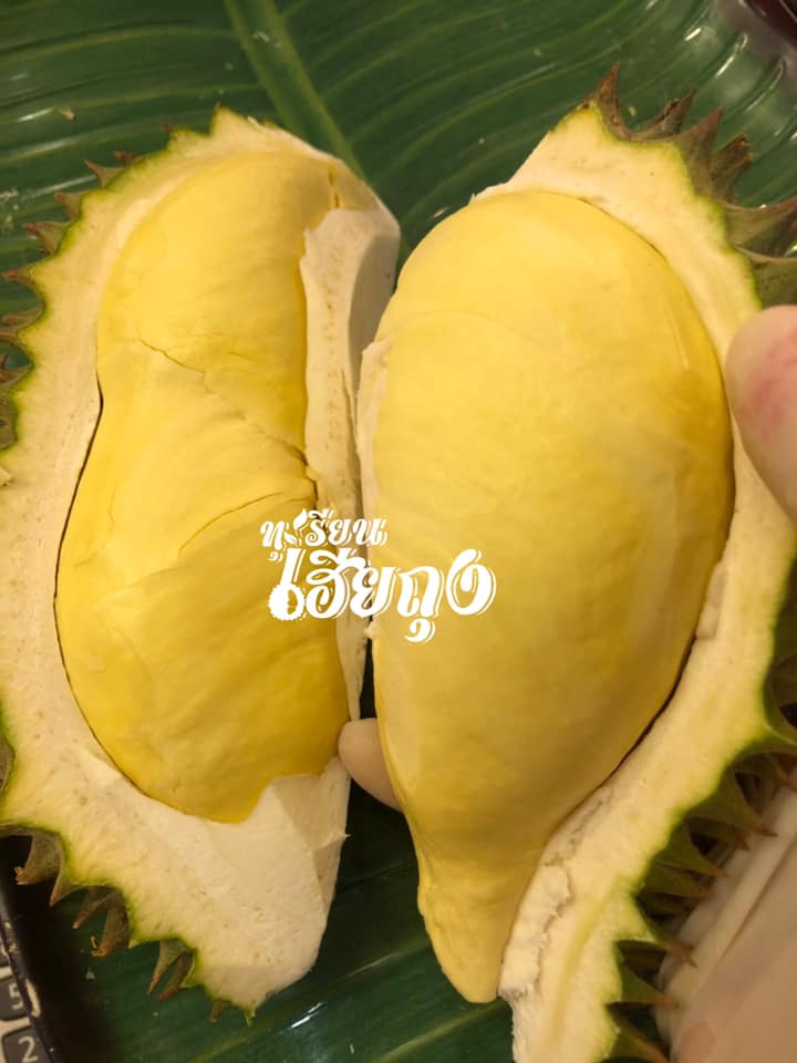 top 13+ ร้านทุเรียน delivery ราชาผลไม้อร่อยหวานมัน รสชาติดีเหมือนไปซื้อเองที่สวน!