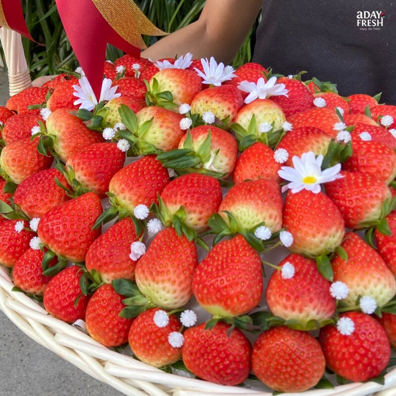 top 13+ ร้านทุเรียน delivery ราชาผลไม้อร่อยหวานมัน รสชาติดีเหมือนไปซื้อเองที่สวน!