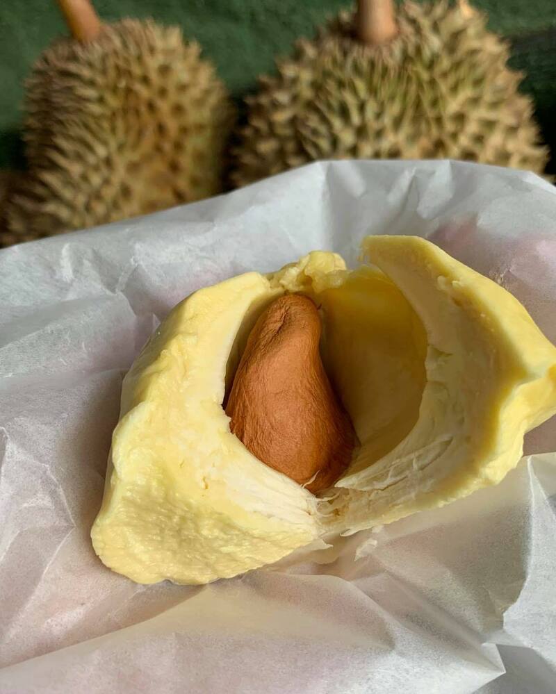 top 13+ ร้านทุเรียน delivery ราชาผลไม้อร่อยหวานมัน รสชาติดีเหมือนไปซื้อเองที่สวน!