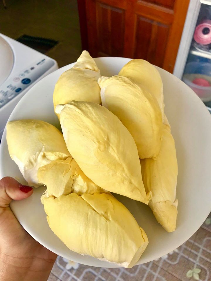 top 13+ ร้านทุเรียน delivery ราชาผลไม้อร่อยหวานมัน รสชาติดีเหมือนไปซื้อเองที่สวน!