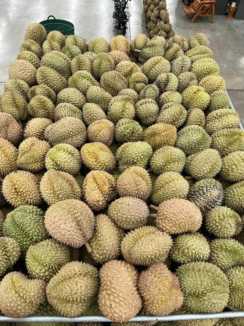 top 13+ ร้านทุเรียน delivery ราชาผลไม้อร่อยหวานมัน รสชาติดีเหมือนไปซื้อเองที่สวน!