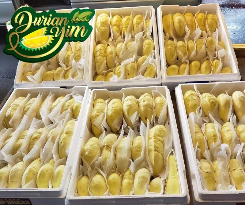 top 13+ ร้านทุเรียน delivery ราชาผลไม้อร่อยหวานมัน รสชาติดีเหมือนไปซื้อเองที่สวน!