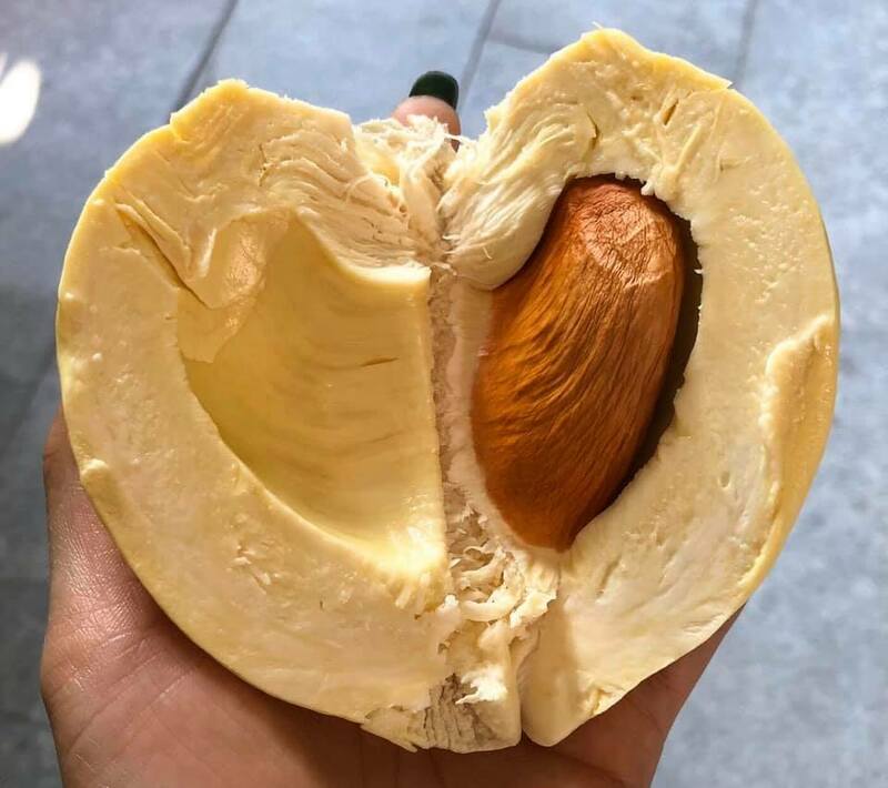 top 13+ ร้านทุเรียน delivery ราชาผลไม้อร่อยหวานมัน รสชาติดีเหมือนไปซื้อเองที่สวน!