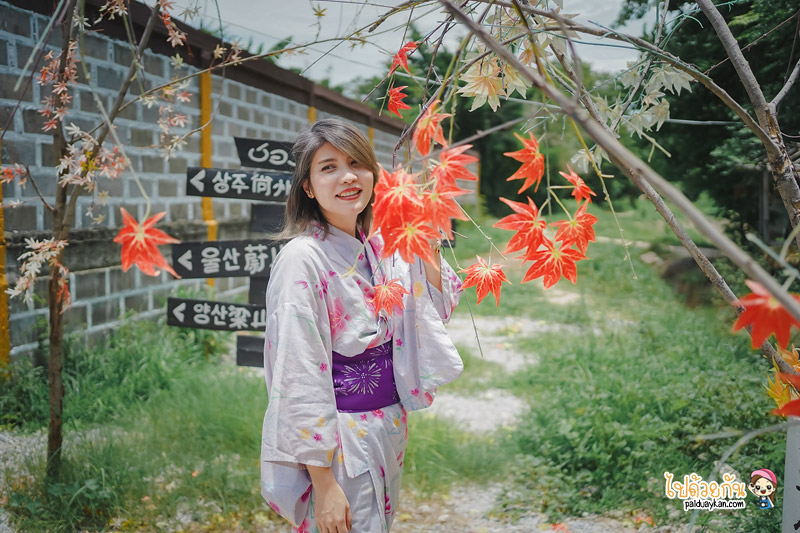 ร้านกาแฟอุทัยธานี, ที่เที่ยวอุทัยธานี, อาณาจักรบ้อง, คาเฟ่ญี่ปุ่นอุทัย, อาณาจักรบ้อง เที่ยวญี่ปุ่น ในเมืองอุทัย