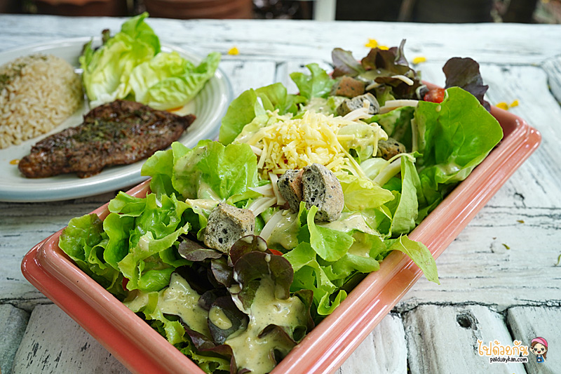 ร้านสลัด, สวนผักน้ำ สุคนธสวัสดิ์, สวนผักน้ำ สุคนธสวัสดิ์