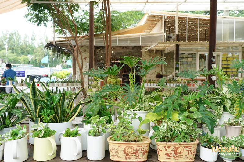 สายลม บางปู, คาเฟ่เซรามิค บางปู, สายลมบางปู เซรามิค, เที่ยวสมุทราปราการ, ร้านกาแฟสมุทราปราการ, สมุทรปราการ, สายลม บางปู คาเฟ่เซรามิค