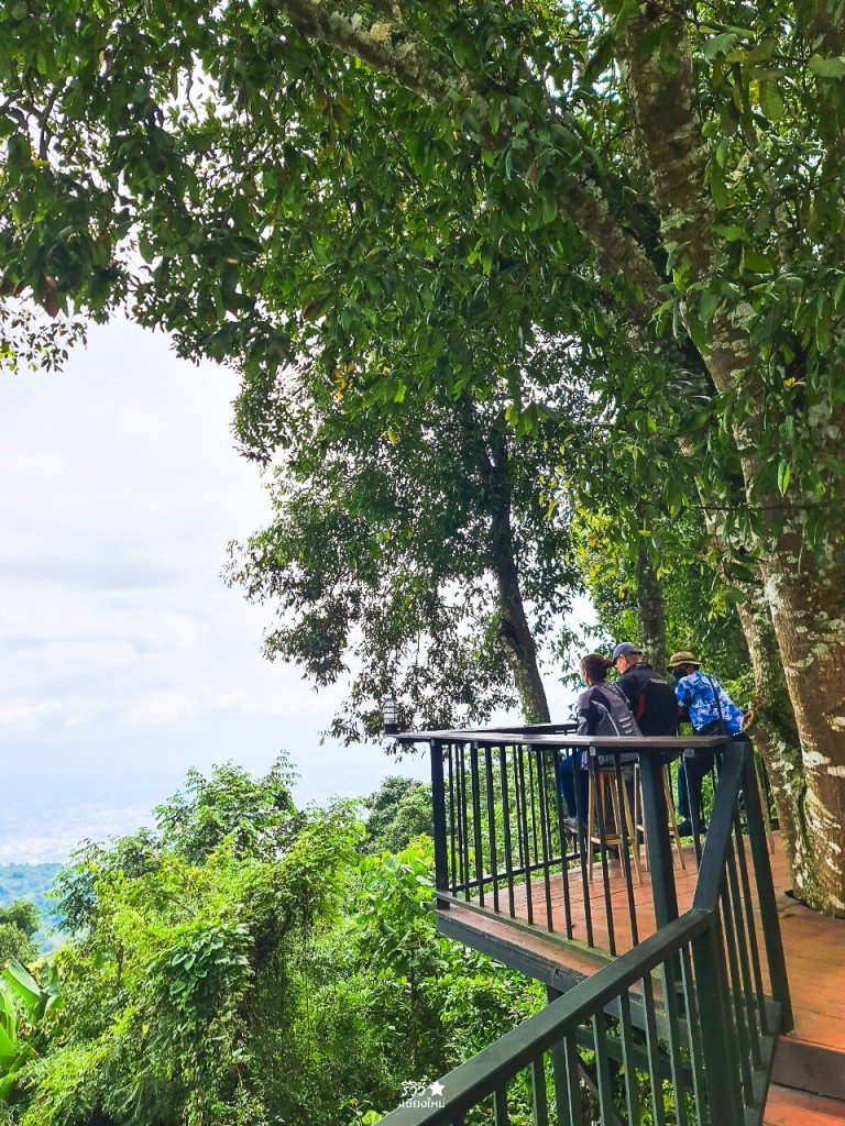 fernpresso, fernpresso cafe, ขุนช่างเคี่ยน, คาเฟ่ลึกลับ, บ้านม้งขุนช่างเคี่ยน, คาเฟ่ลึกลับ fernpresso at khun chang khian