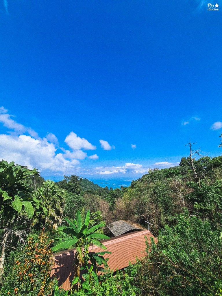 fernpresso, fernpresso cafe, ขุนช่างเคี่ยน, คาเฟ่ลึกลับ, บ้านม้งขุนช่างเคี่ยน, คาเฟ่ลึกลับ fernpresso at khun chang khian