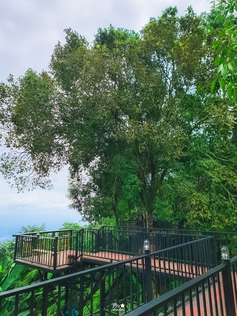 fernpresso, fernpresso cafe, ขุนช่างเคี่ยน, คาเฟ่ลึกลับ, บ้านม้งขุนช่างเคี่ยน, คาเฟ่ลึกลับ fernpresso at khun chang khian