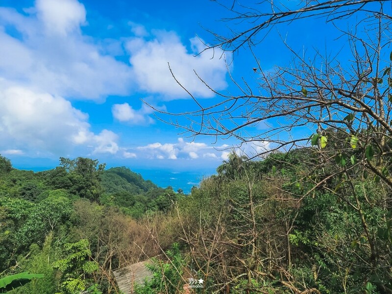 fernpresso, fernpresso cafe, ขุนช่างเคี่ยน, คาเฟ่ลึกลับ, บ้านม้งขุนช่างเคี่ยน, คาเฟ่ลึกลับ fernpresso at khun chang khian