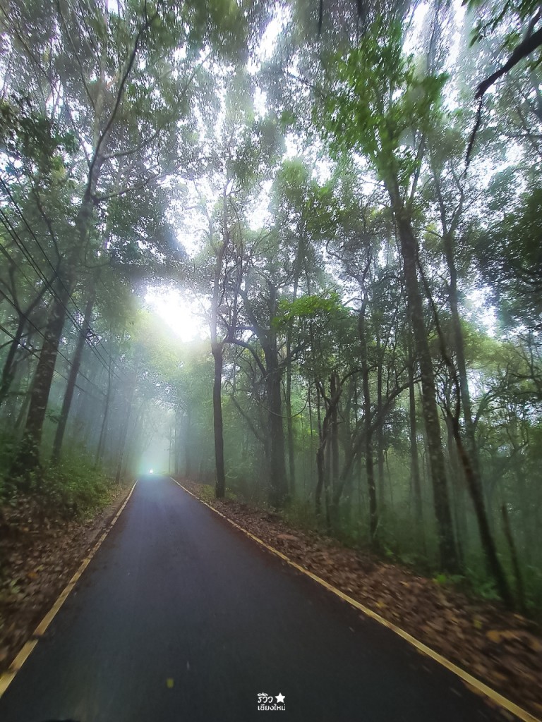 fernpresso, fernpresso cafe, ขุนช่างเคี่ยน, คาเฟ่ลึกลับ, บ้านม้งขุนช่างเคี่ยน, คาเฟ่ลึกลับ fernpresso at khun chang khian