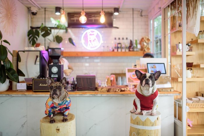 ภูเก็ต, top 11+ คาเฟ่ภูเก็ต 2567 คาเฟ่เปิดใหม่ ร้านกาแฟอร่อยๆ มุมถ่ายรูปสวยๆ