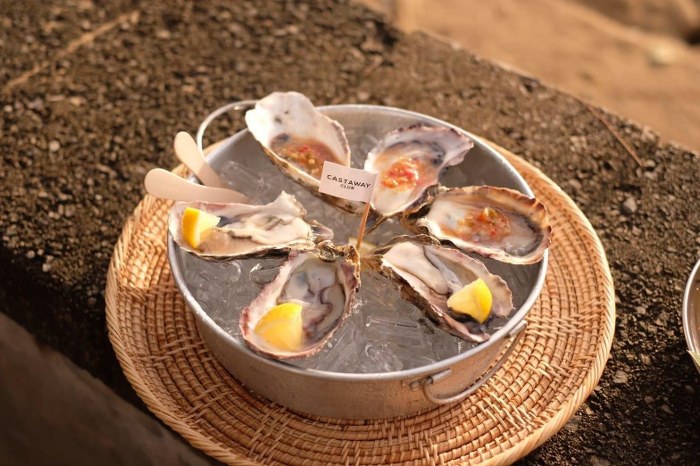 ภูเก็ต, top 11+ คาเฟ่ภูเก็ต 2567 คาเฟ่เปิดใหม่ ร้านกาแฟอร่อยๆ มุมถ่ายรูปสวยๆ