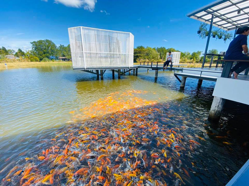 คาเฟ่จันทบุรี, ร้านกาแฟจันทบุรี, อินเทรนด์ 15 คาเฟ่จันทบุรี  ที่ไหนชิลล์ ที่ไหนชิค มีครบ