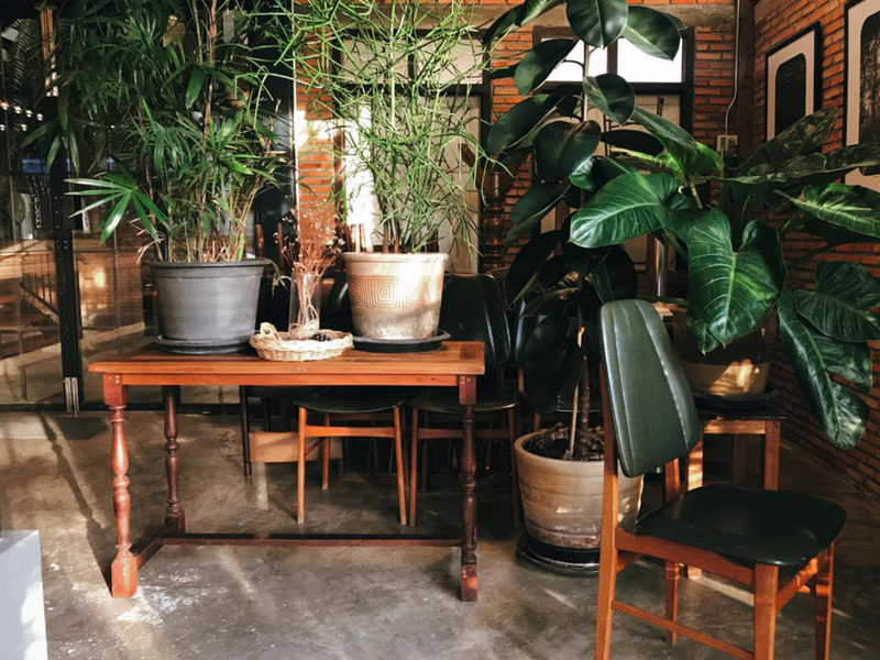 คาเฟ่จันทบุรี, ร้านกาแฟจันทบุรี, อินเทรนด์ 15 คาเฟ่จันทบุรี  ที่ไหนชิลล์ ที่ไหนชิค มีครบ