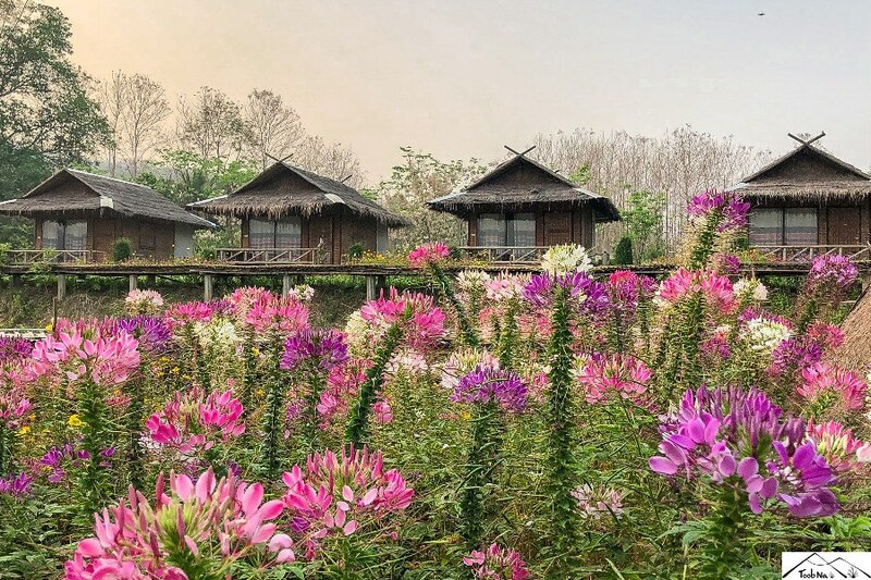 top 20+ ที่พักปัว 2024 จ.น่าน นอนชิลๆ ชมวิวทุ่งนาแบบฟินๆ