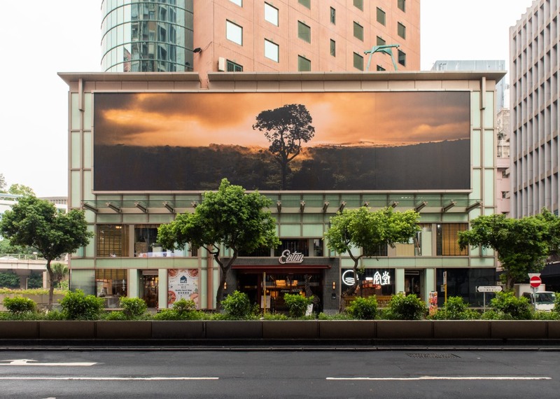 eaton hong kong, executive club, executive club lounge, hong kong-macau ferry terminal, horizonte lounge, hotel madera hong kong, iclub amtd sheung wan hotel, isquare, kimberley hotel, kowloon cricket club, largos hotel, metropark hotel mongkok, mini hotel causeway bay, mirama shopping mall, mong kok, nathan hotel, otto hotel, page 148 hotel, park hotel, park lane shopping boulevard, popway hotel, presidentail suite, prince edward, regal kowloon hotel, sheung wan, signature greenery, the kimberley hotel, the mira hong kong, tsim sha tsui, uptop bistro and bar, victoria harbour chinese restaurant, wifi boutique hotel, ที่พักฮ่องกง, ที่พักฮ่องกง2023, ที่พักฮ่องกง2024, ที่พักฮ่องกง2567, ที่พักฮ่องกงเดินทางง่าย, ที่พักฮ่องกงในเมือง, ที่พักใกล้แหล่งช้อปปิ้ง, สถานีรถไฟใต้ดินจิมซาจุ่ย, อาหารเช้าแบบบุฟเฟ่ต์, ฮ่องกง, ฮ่องกงนอนที่ไหน, ฮ่องกงพักไหนดี, โรงแรมฮ่องกง, โรงแรมฮ่องกง2023, โรงแรมฮ่องกงในเมือง, ใจกลางหว่านไจ๋และคอสเวย์เบย์, top 15+ ที่พักฮ่องกง 2024 ใจกลางเมือง เดินทางสะดวก ช็อปปิ้งง่าย