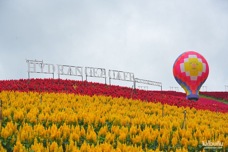 สถานที่ท่องเที่ยวเพชรบูรณ์, เพชรบูรณ์, ที่เที่ยวเพชรบูรณ์, เขาค้อ, ที่เที่ยวเขาค้อ, สถานที่ท่องเที่ยวเขาค้อ, top 20+ ที่เที่ยวเขาค้อ สัมผัสธรรมชาติ สายหมอกสุดฟิน