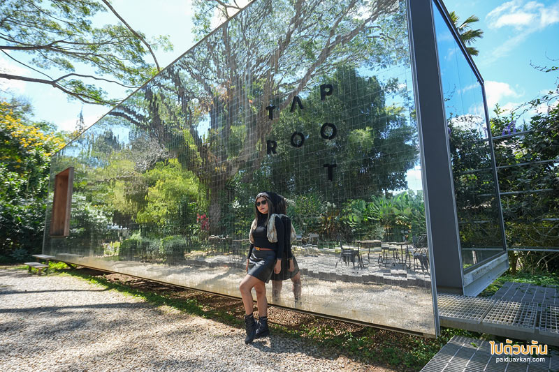 สถานที่ท่องเที่ยวเพชรบูรณ์, เพชรบูรณ์, ที่เที่ยวเพชรบูรณ์, เขาค้อ, ที่เที่ยวเขาค้อ, สถานที่ท่องเที่ยวเขาค้อ, top 20+ ที่เที่ยวเขาค้อ สัมผัสธรรมชาติ สายหมอกสุดฟิน